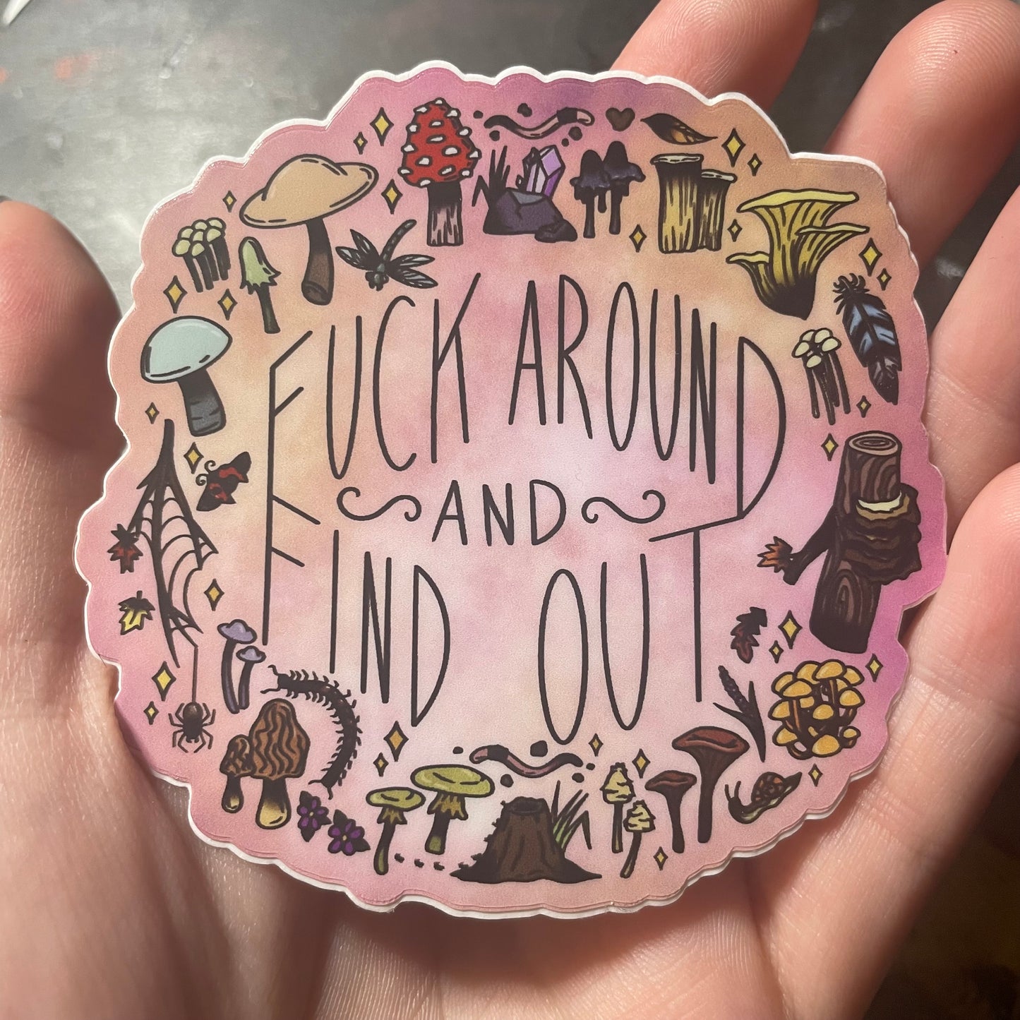 F*ck Around and Find Out sticker